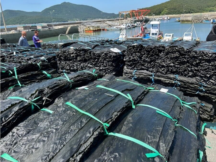 방사능-배출-음식