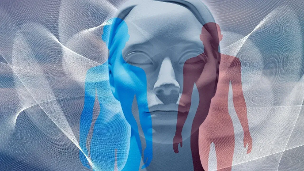 기억의 재구성·흔들림