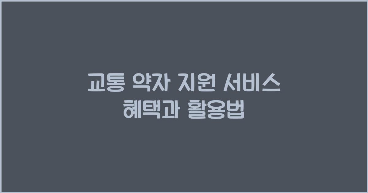 교통 약자 지원 서비스