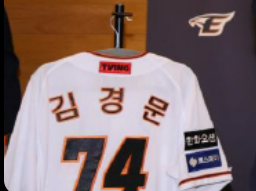 한화이글스 우승