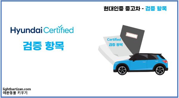 현대인증 중고차 - 검증 항목
