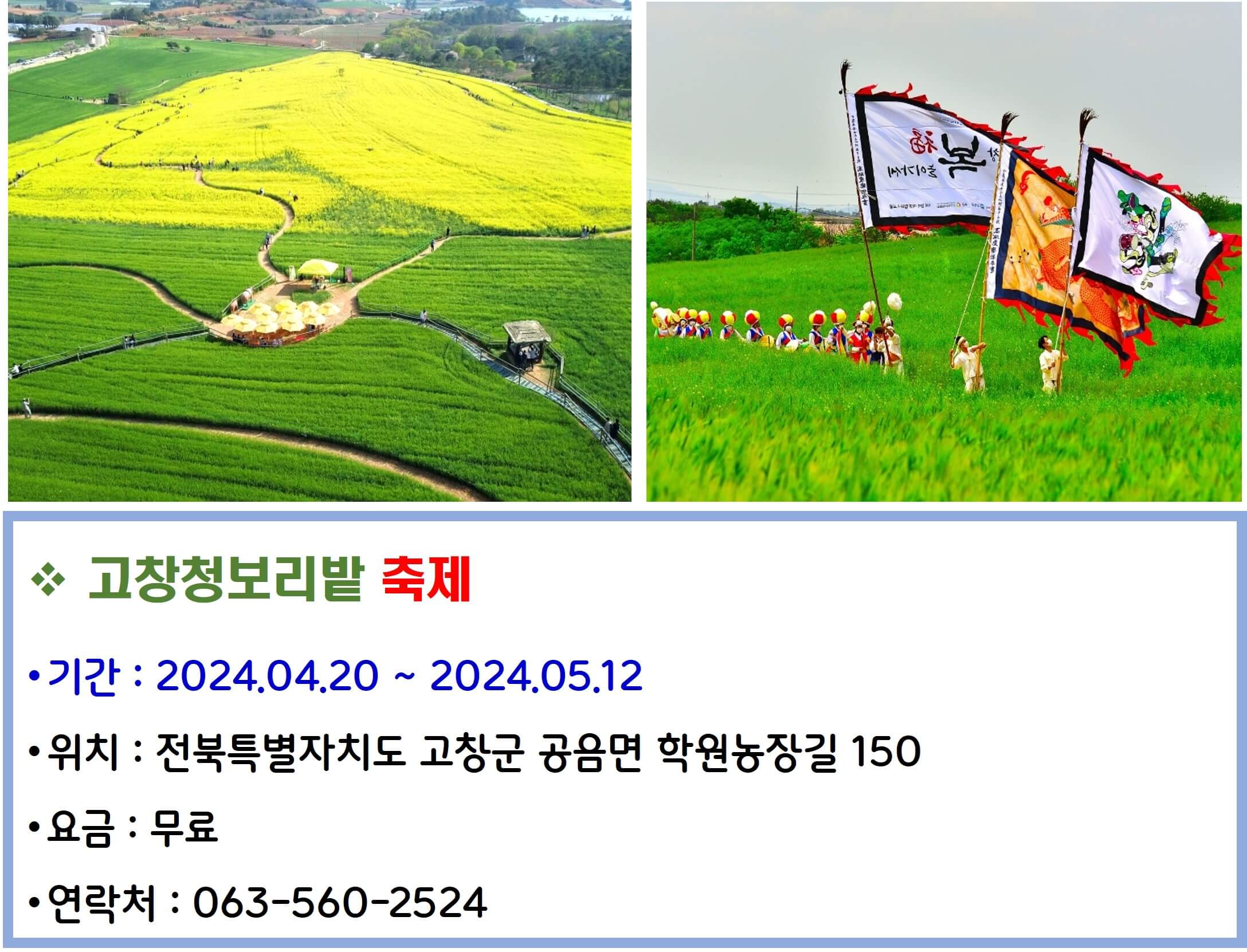 고창청보리밭 축제
