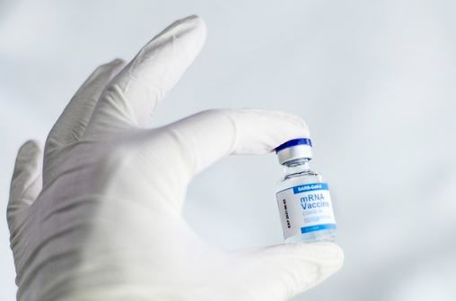 hpv 바이러스 원인