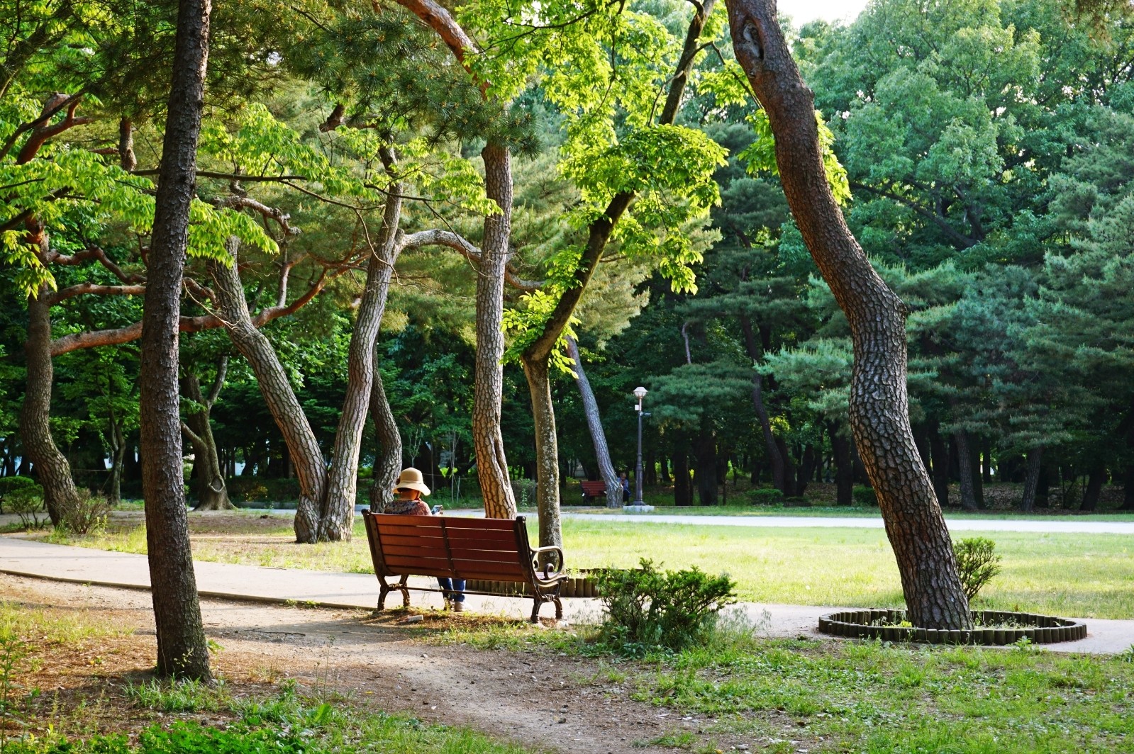 경주 자전거 킥보드