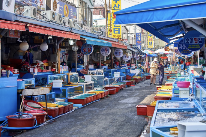 마산 어시장 관련 이미지