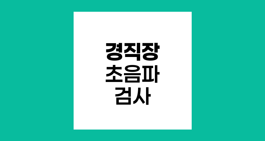 직장암 진단을 위한 경직장 초음파 검사 과정