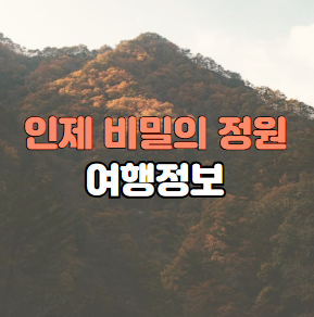 인제 비밀의 정원