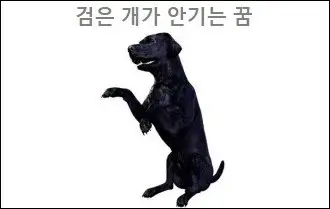 검은 개가 안기는 꿈