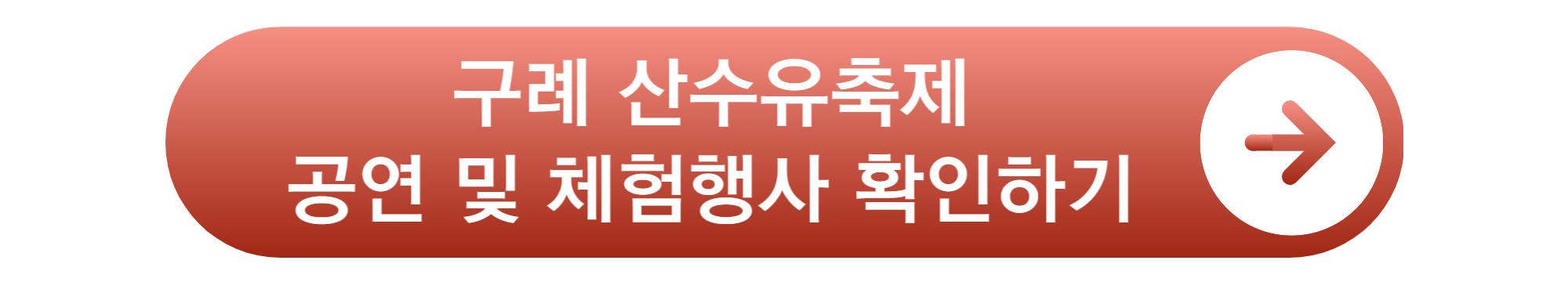 구례 산수유축제