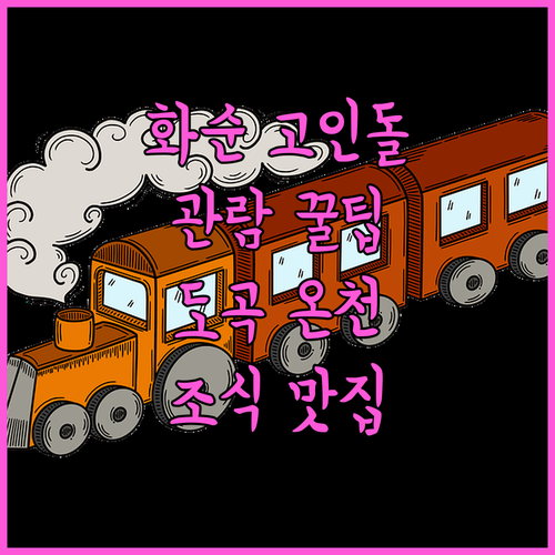 화순 고인돌 유적지 관람 팁과 도곡 ..