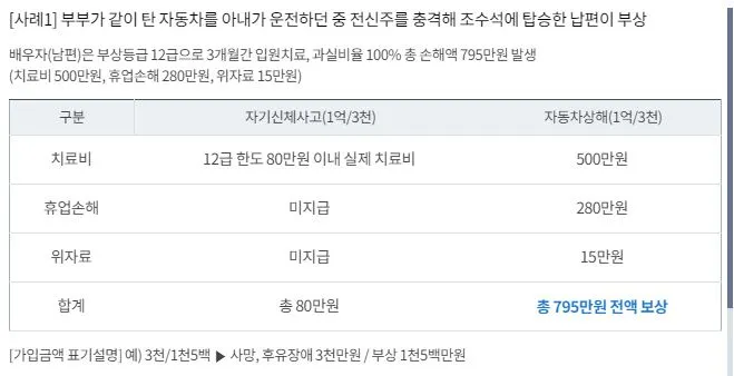 자기신체사고 자동차상해 지급 차이