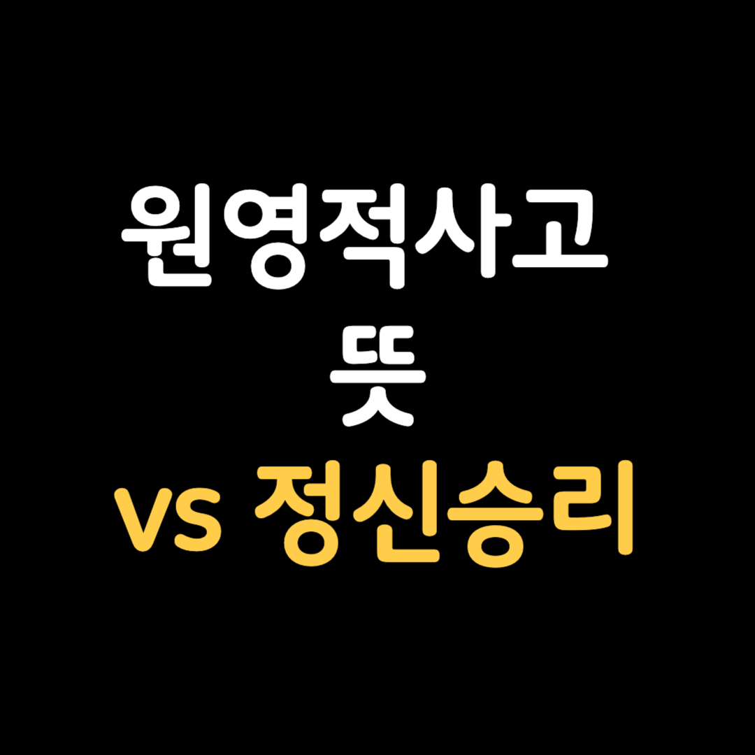 원영적사고 뜻