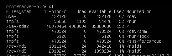 레이드 문제 발생과 조치 방법