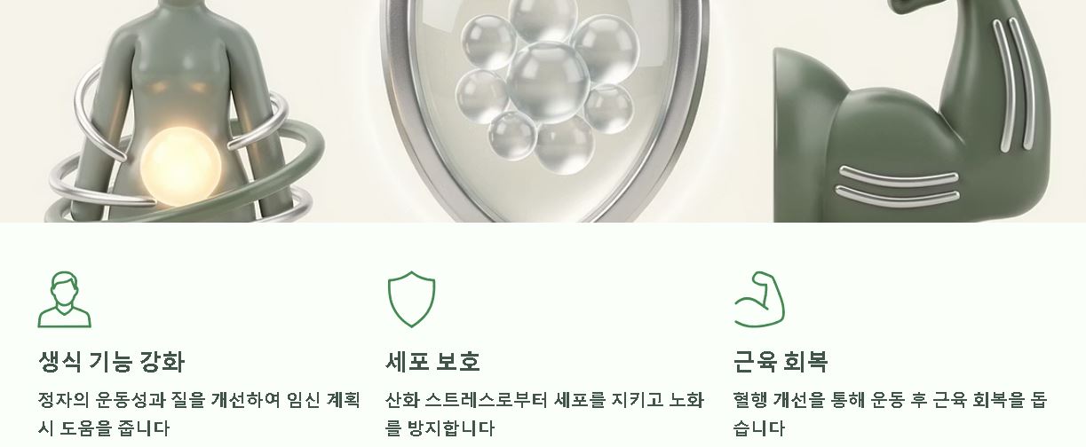 엽산 효능 총정리