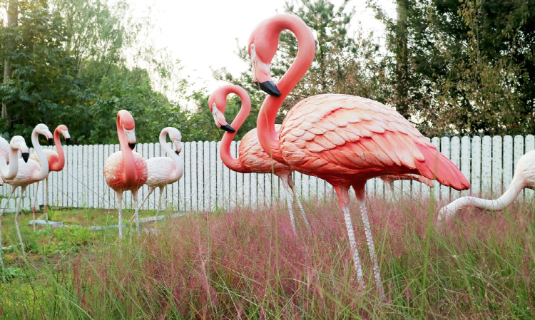 안산 별빛마을 별빛축제