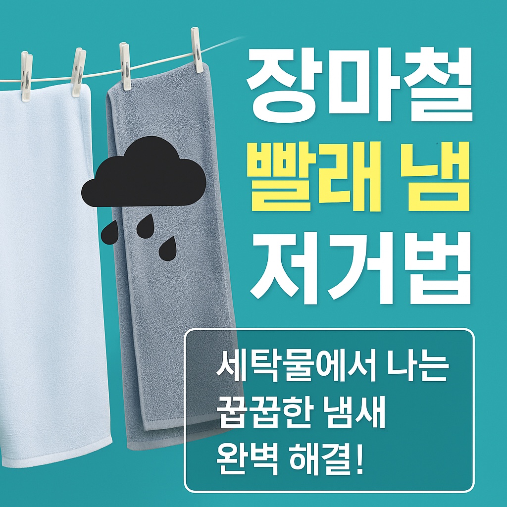 장마철 빨래 냄새 제거법