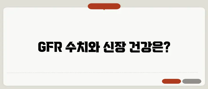 GFR 정상수치 낮으면 신부전 초기일까