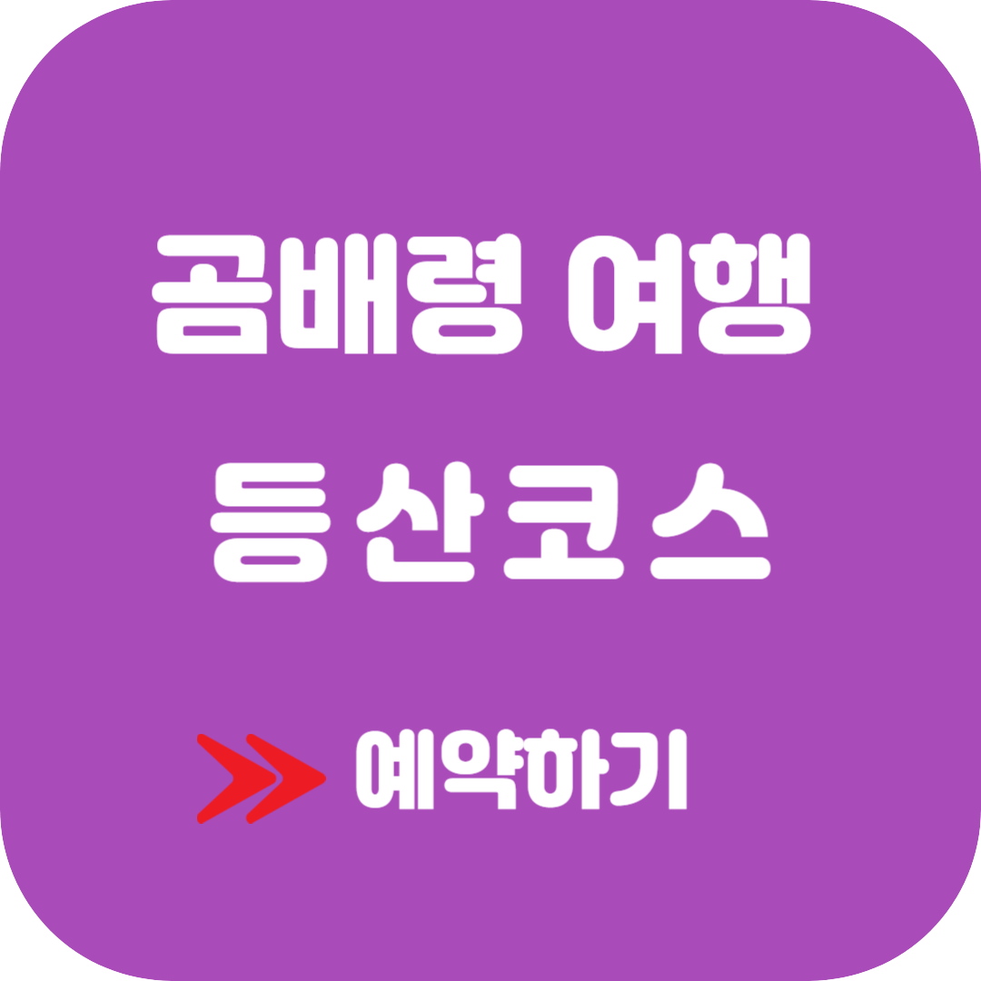 곰배령 예약하기 등산코스 야생화 시기