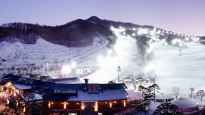 인기 스키장 예약정보 (휘닉스&amp;#44; 비발디&amp;#44; 곤지암&amp;#44; 하이원&amp;#44; 지산) 관련사진