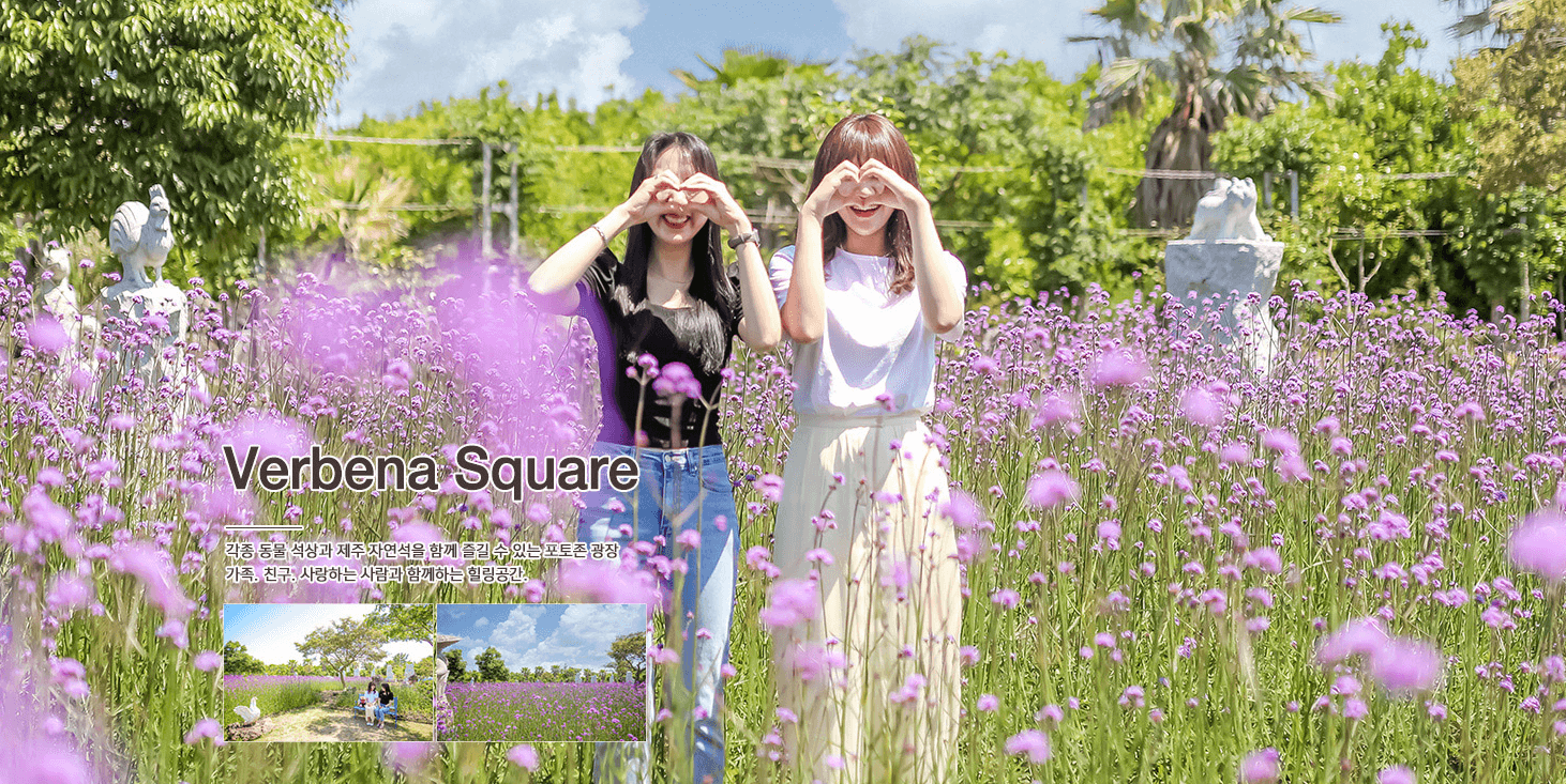 비체올린 공원이야기