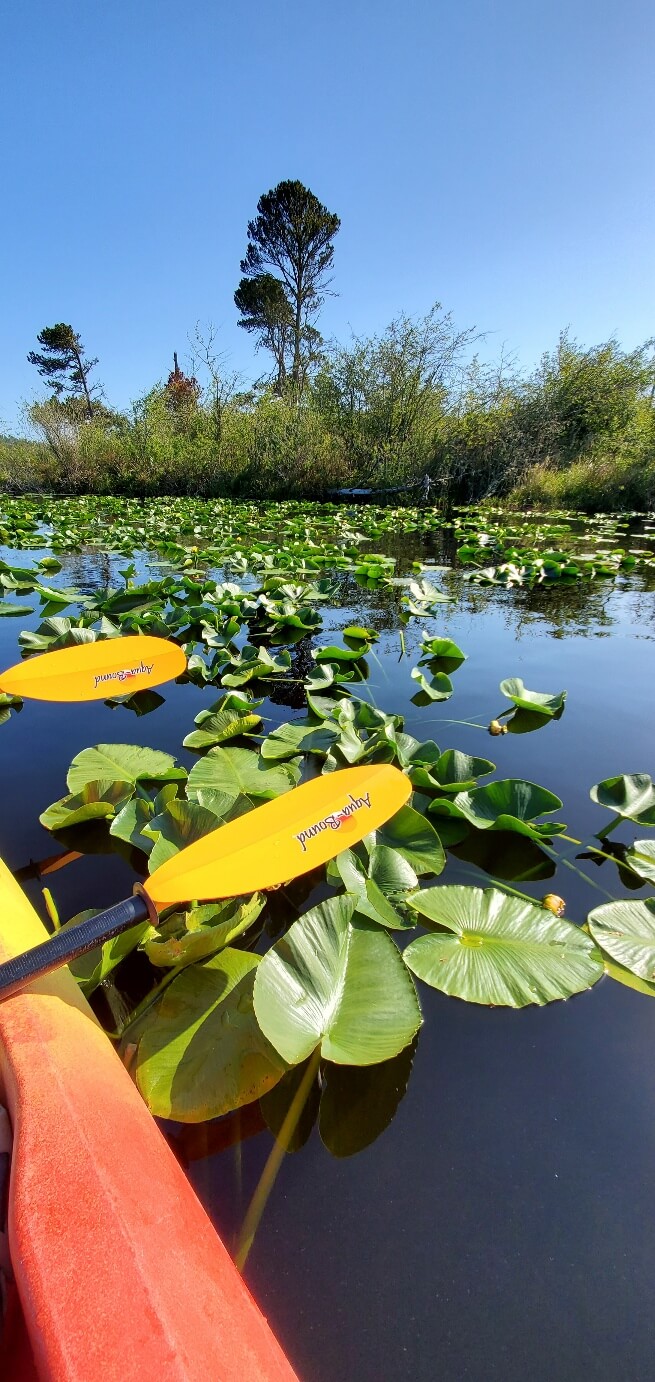 아이와 함께 안전하게 즐기는 자연 캠핑(워싱턴주 RV 캠핑장 정리) 관련사진