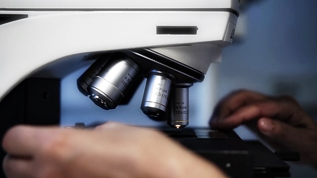 2024년 청년도전지원사업