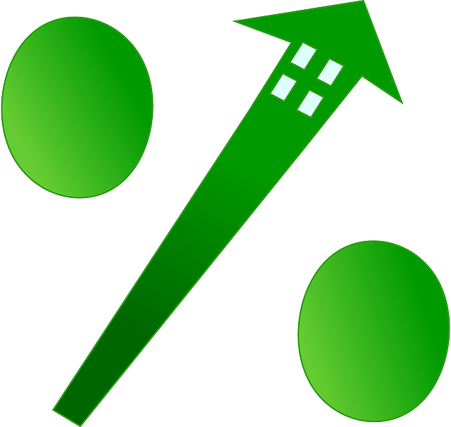 금리평가이론: 시장 금리의 움직임을 이해하는 핵심 이론