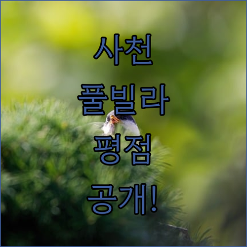 아이와 가기 좋은 사천 풀빌라와 수산..