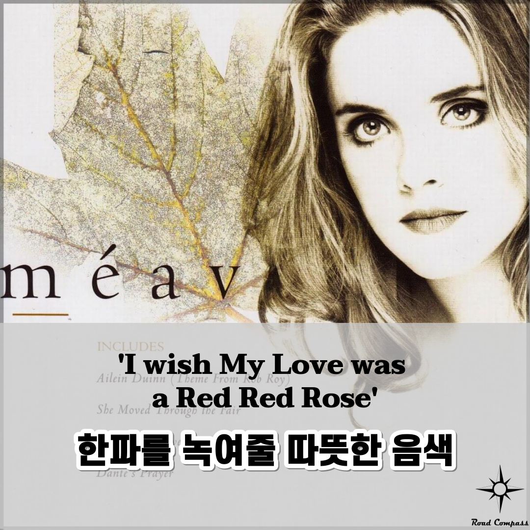 메이브(Meav)의 &#39;I wish My Love was a Red Red Rose&#39;