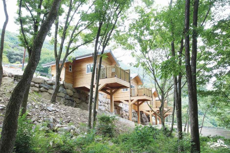 국립칠곡숲체원 숙박