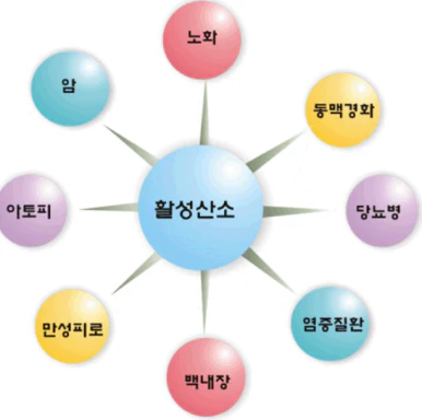 공진단-효능-먹는법-건강
