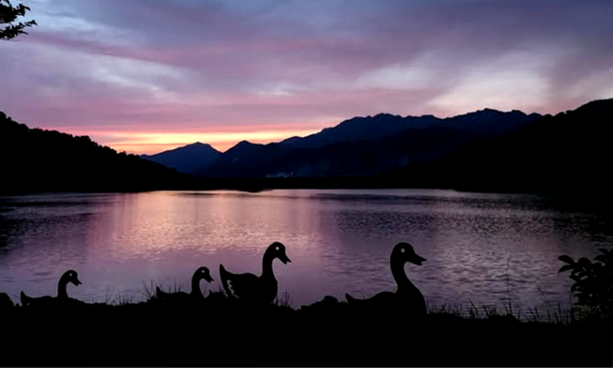 특색있고 아름다운 민간 정원 30선 추천 여행 - 08. 해남 문가든