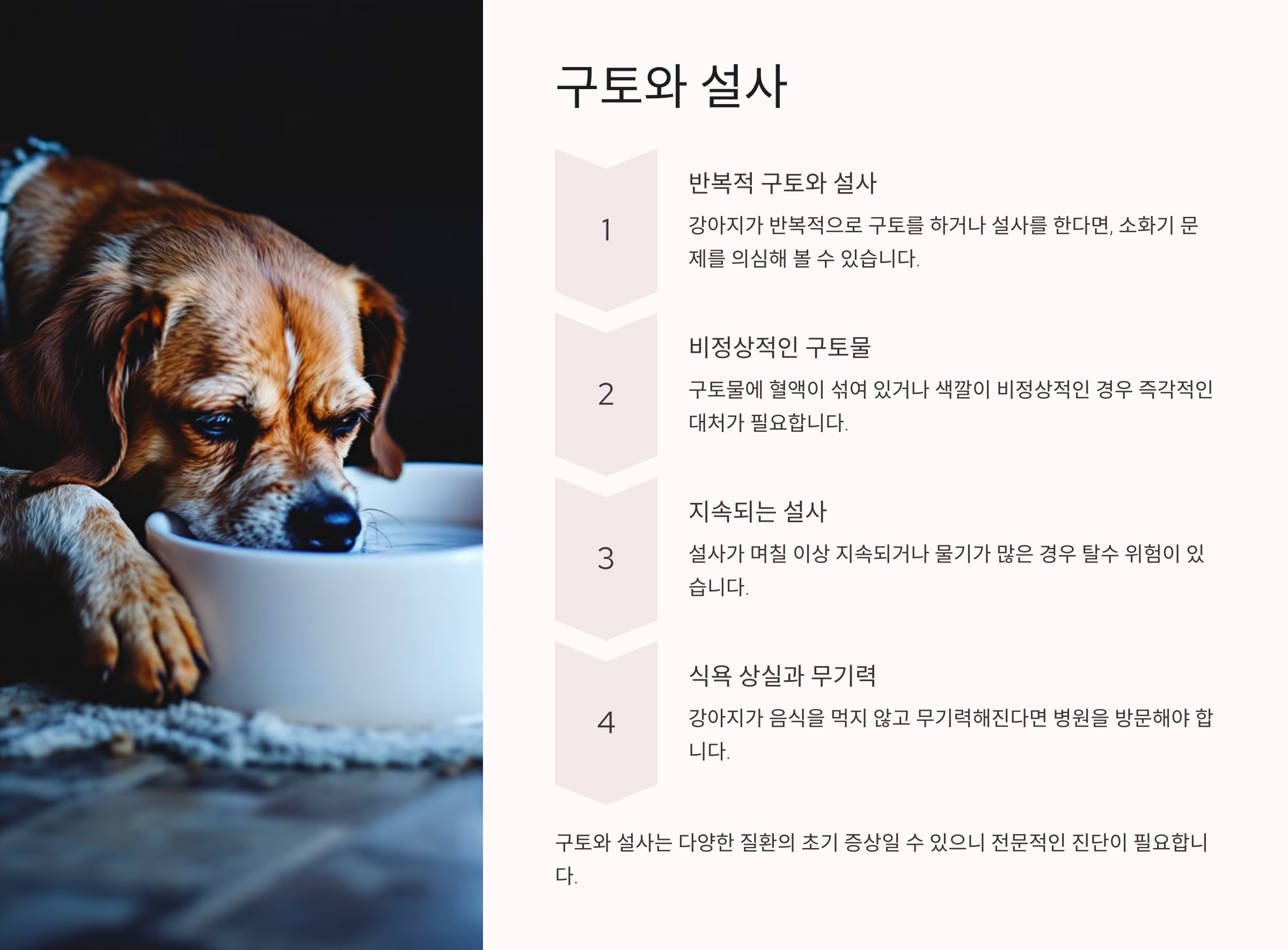 구토와 설사