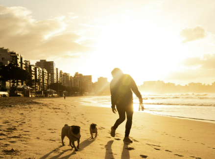연휴엔 같이 떠나요! 반려동물과 함께하는 국내 여행 코스 추천