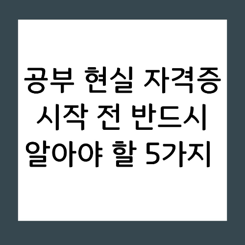 자격증 공부 현실 자격증 시작 전 반드시 알아야 할 5가지