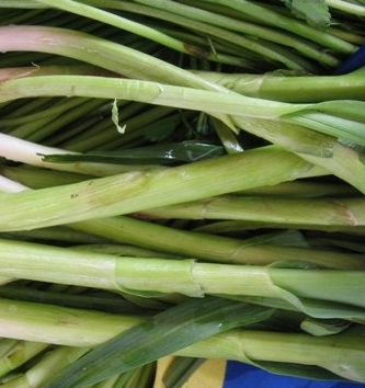 대파 효능과 부작용 고르는법