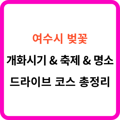 여수시 벚꽃 개화시기 명소 드라이브 코스 가이드