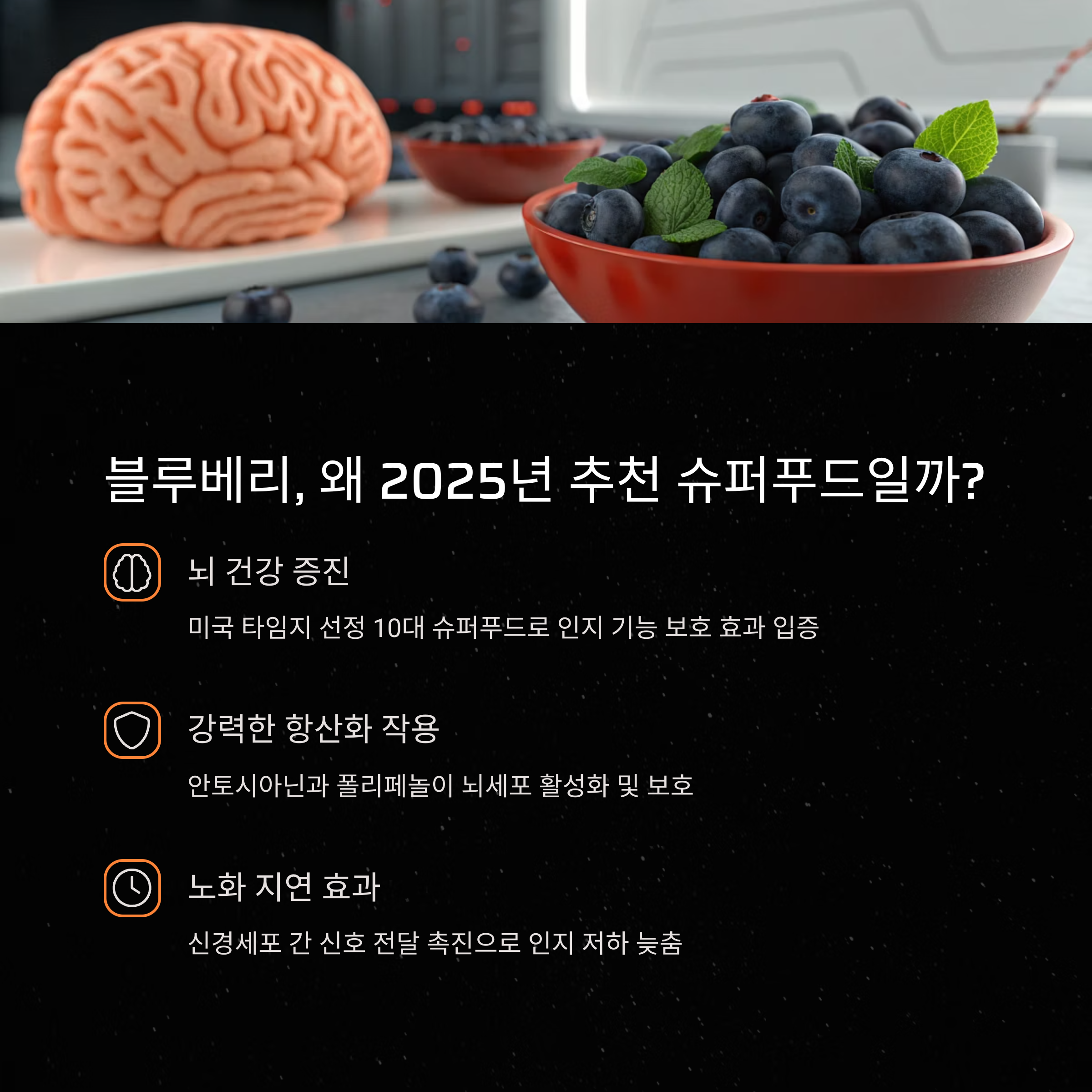 블루베리 슈퍼푸드