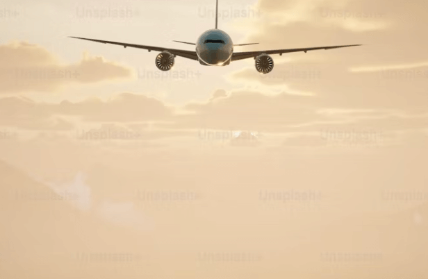 개인통관고유부호 발급, 개인통관 고유부호