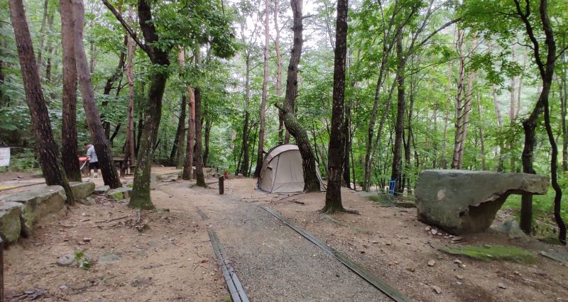F구역 전경 숲이 우거져 독립적이고 조용하다.