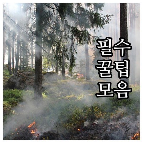 육아휴직 복직 후 연차 사용, 100..