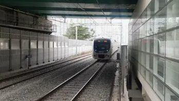 원동미나리축제