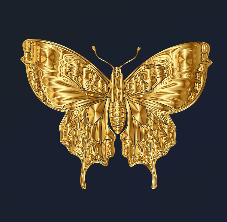 나비 모양 금