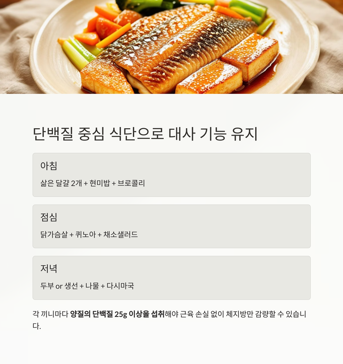 건강 의료