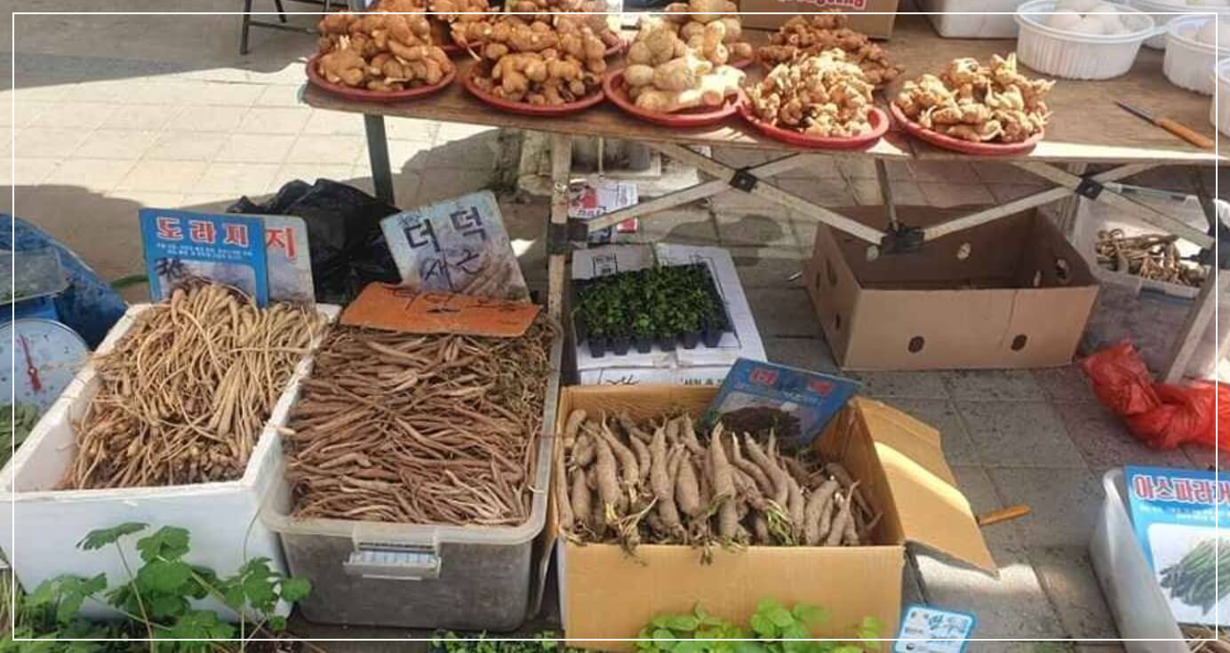 진안 가볼만한곳 베스트10 진안시장 (4, 9일)