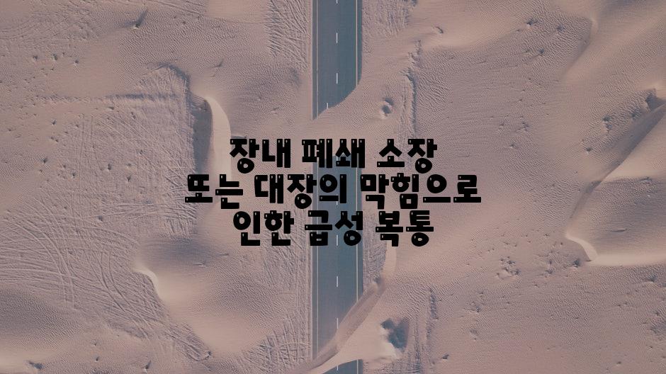 장내 폐쇄 소장 또는 대장의 막힘으로 인한 급성 복통