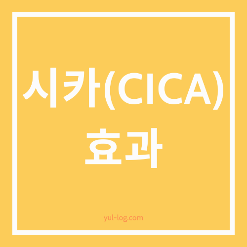 시카(CICA)의 효과 및 주의사항 총정리