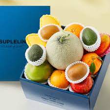 망고 아보카도 사과 배 등 과일 세트