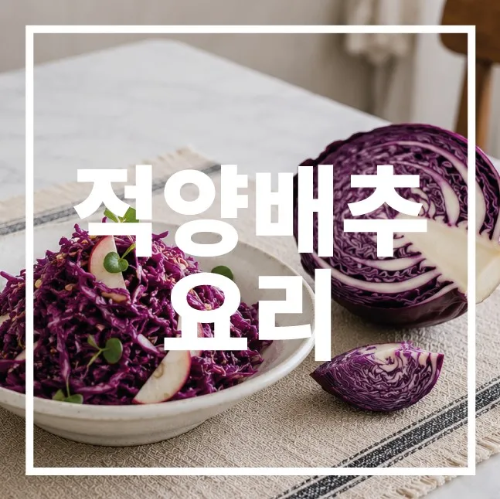 적양배추 요리