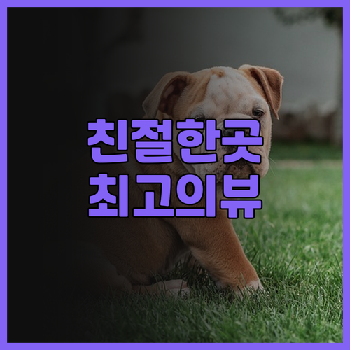 사이판 샤이닝 스타 호텔 후기 친절한..